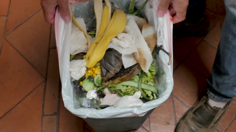 Trusted Holly Ridge, NC Junk Removal Services Experts